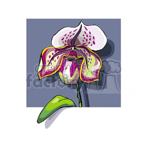 orchid2 clipart. Commercial use image # 152258