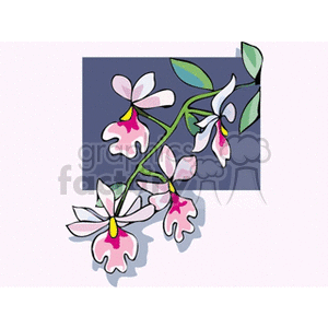 orchid3 clipart. Commercial use image # 152262