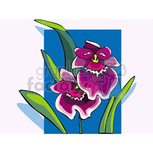 orchid9 clipart. Royalty-free image # 152268
