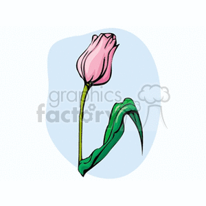 tulip3 clipart. Commercial use image # 152377