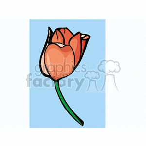tulip7 clipart. Commercial use image # 152381
