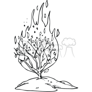 Burning Bush clipart. Royalty-free image # 164648