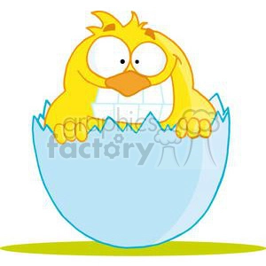 This clipart image features a funny yellow Easter chick. The chick is partially hatched and is still nestled inside the lower half of its cracked blue eggshell. It has big, round eyes and appears to be smiling or grinning with a large beak. The chick's wings are resting on the edge of the eggshell, and it's located on a simple green ground or base.