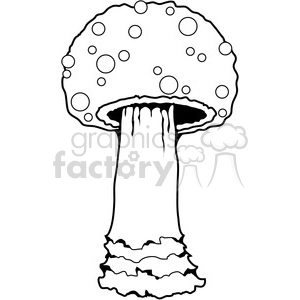Mushroom 03