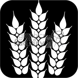 The clipart image shows 3 pieces of wheat standing next to each other. It is on a black background, and the wheat is white.