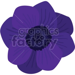 purple Anemone