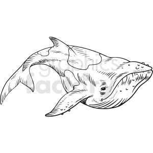 The clipart image shows a black and white illustration of a realistic-looking whale in the ocean. The whale's skin texture and details are shown in a realistic style.