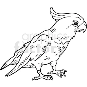 The clipart image depicts a realistic-looking parrot in black and white.