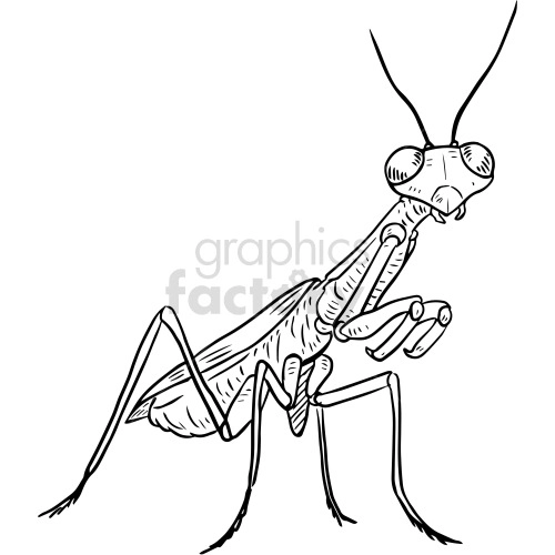 The clipart image shows a black and white illustration of a praying mantis. It is a vector graphic, which means it can be scaled without losing quality. The image may be used as inspiration for a praying mantis tattoo design.
