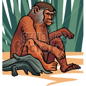 The clipart image shows a brown monkey sitting on a branch in a jungle setting with long grass or trees behind
