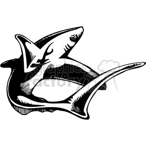 The clipart image features a bold, black and white illustration of a shark. The shark is depicted in an aggressive pose, typical of tattoo design styles that emphasize the wild and ferocious nature of sea creatures. The style of the shark is streamlined and graphic, suitable for vinyl-ready applications such as decals, shirts, or other merchandise.