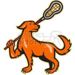 dog lacrosse stick