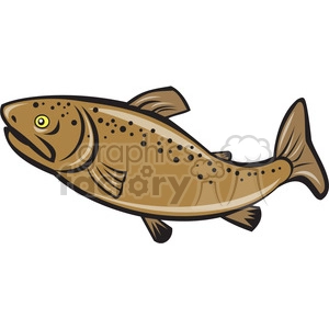 brown trout side ISO