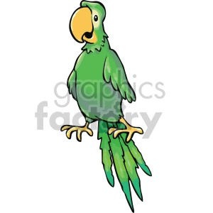 green pirate parrot