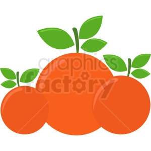 three oranges vector icon