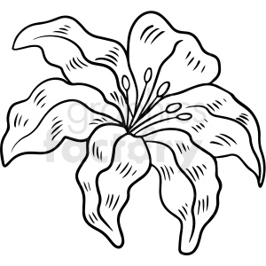 black and white lily flower vector clipart