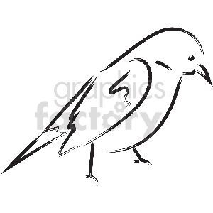 black and white bird vector clipart
