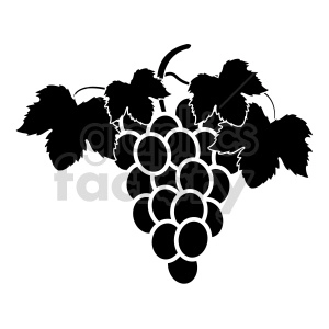 grapes vector graphic 02