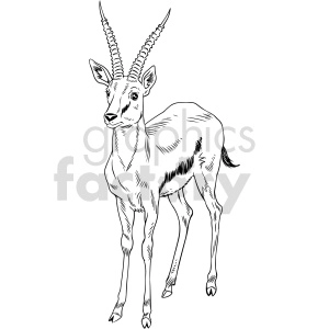 black and white gazelle vector clipart