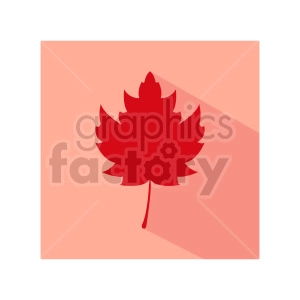 red maple leaf design