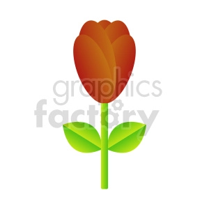 The image shows a close-up of a flower with red petals, green leaves, and a long stem. There are two green and yellow leaves located near the top of the stem. The flower could be a tulip, or possibly a rose 