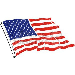 Large USA Flag
