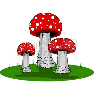 red Mushroom Group