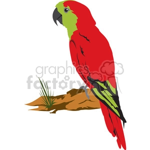 Red Green Parrot Bird