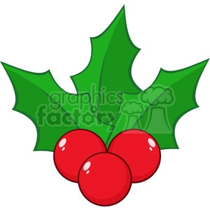 royalty free rf clipart illustration christmas holly berries and leaves vector illustration isolated on white