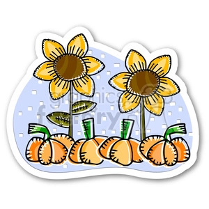 thanksgiving sunflower and pumpkins