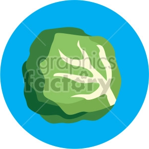 lettuce on blue circle background