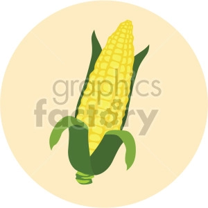 corn on the cob on yellow circle background