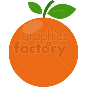 oranges vector design
