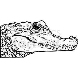 The clipart image shows a black and white vector illustration of an alligator. The alligator is depicted in a realistic style, with scaly skin, sharp teeth, and prominent eyes and nostrils. Overall, the image captures the intimidating presence of a real-life alligator.