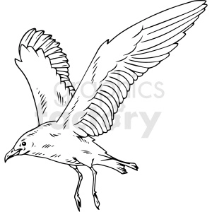 black and white seagull vector clipart