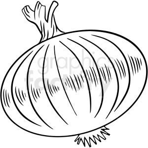 black and white onion vector clipart