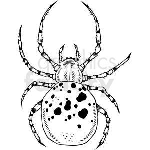 black white spider vector clipart