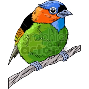 The clipart image shows a colorful bird with a small beak and a round body, perched on a branch. The bird has green, blue, yellow, orange, and pink feathers.
