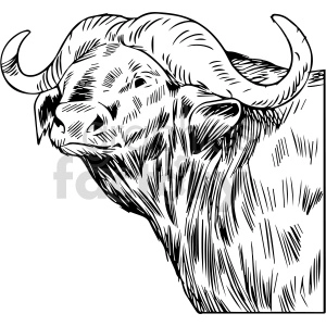 black and white ox clipart