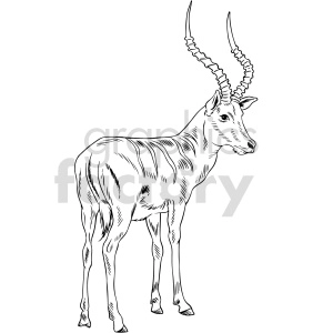 The clipart image shows a stylized drawing of an antelope. Key features of the antelope include its slender body, long legs, and distinctive long, spiraled horns. The animal appears to be standing and looking to the side, with a poised and graceful posture.