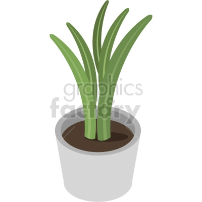 The clipart image shows a tall house plant that is growing in a small pot. The plant has multiple stems with green leaves extending out from them. It appears to be quite large in comparison to the size of the pot it is planted in.
