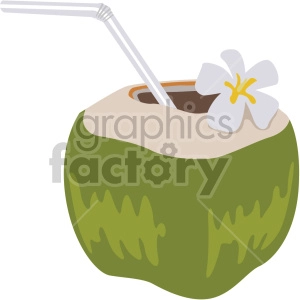 coconut water flat icons
