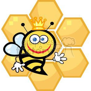 Queen Bee in front of honeycomb
