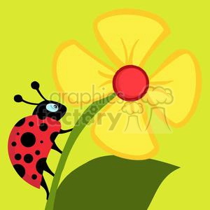 2642-Royalty-Free-Ladybug-Crawling-On-A-Flower