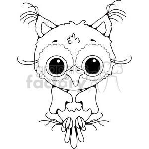 Owl Front View 2