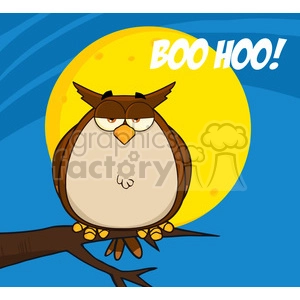 The image depicts a cartoon of a grumpy-looking owl perched on a branch with a full moon in the background. The owl has a furrowed brow and a frowning expression. Above the owl, the text BOO HOO! is displayed in bold white letters, adding a humorous element to the image by playing on the sound owls make and the expression used to indicate crying. The background is blue, suggesting a night sky, and the full moon adds to the nocturnal atmosphere typical of owls. The image employs a simple, bold color palette and contains graphic elements suitable for various forms of media, such as children's books, educational materials, or humorous greeting cards.