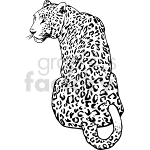 black and white leopard clipart