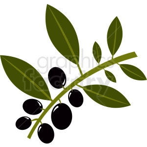 olive branch vector clipart