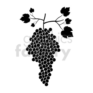 grapes vector graphic 05