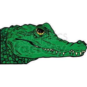 realistic alligator vector clipart